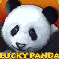 Lucky Panda H5